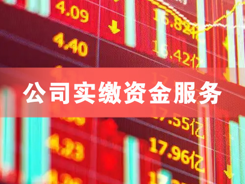 黄石公司实缴资金服务